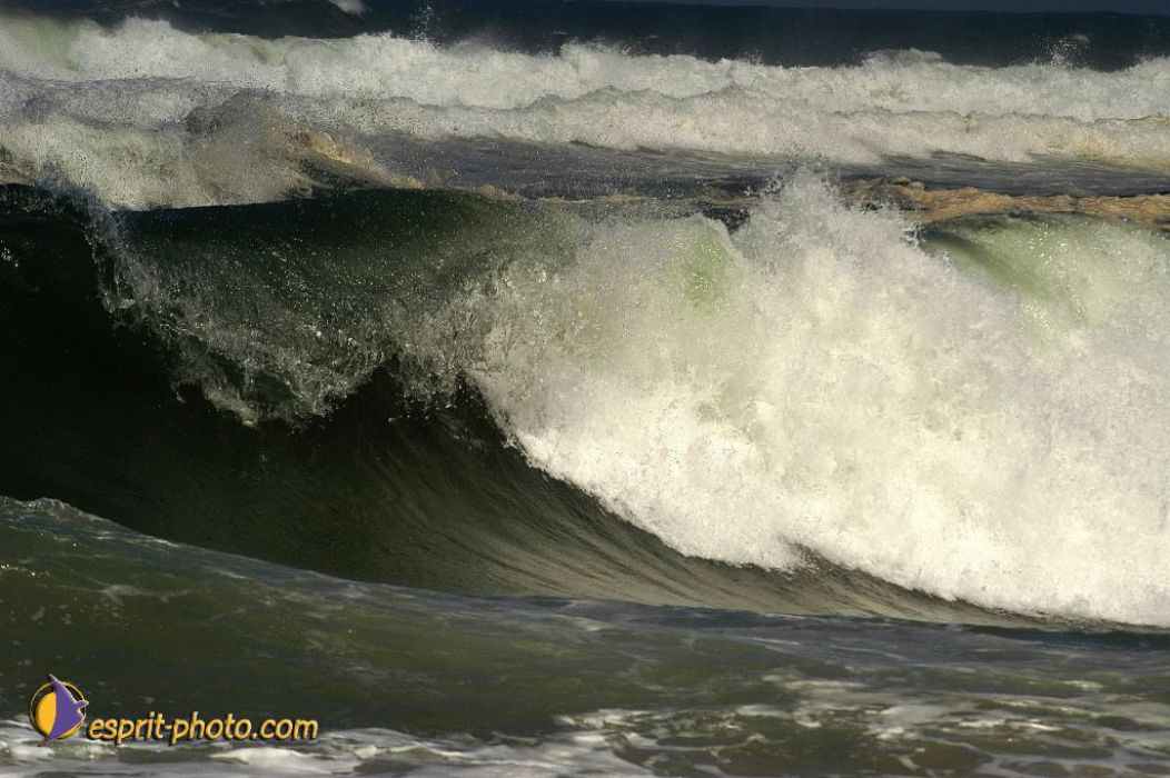 Nom de l'image : EP08-0366_(c)Norbert-JUNG — Description :